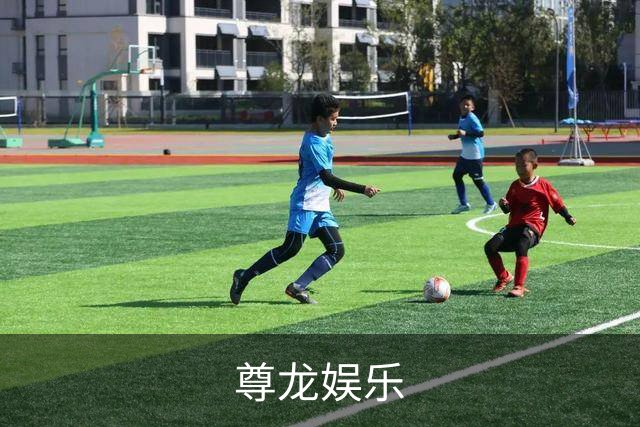 尊龙娱乐公司简介配图